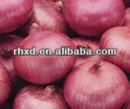 2014 competitive pricen ew crop fresh onion