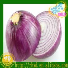 new corp fresh farm onion
