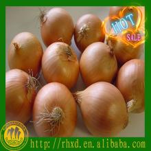 2014 fresh red onions for sale