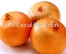Fresh crop round yellow onion Chinese yellow onion market price for yellow onion