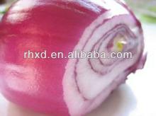 2014 new crop fresh red onion with cmpetitive price