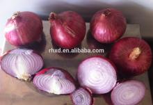 2013 new crop fresh red onion