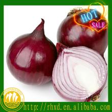 2014 new corp china fresh onion prices