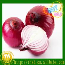 20kg red meshbag red onion specification fresh