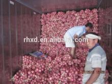 2014 new crop fresh red onions for sale