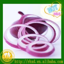 new corp  fresh  china  red   onion   bulk   fresh   red   onion 
