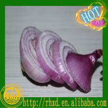 fresh onion factory price export fresh round onions