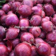 2014 fresh red onion price