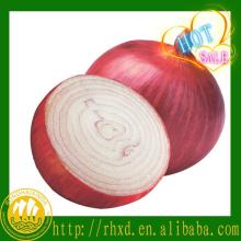china  farm   fresh   onion  export  fresh   onion 