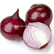 2013 China onion /fresh red onion