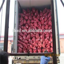 new crop onion fresh onion prices in india red onion price fresh vegetable manufacturer factory farm