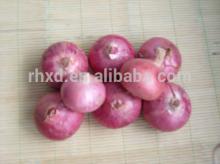 chinese fresh red onion low price red onion