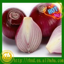 2014 fresh onion prices in in china