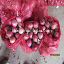 fresh red onion new crop with best export price