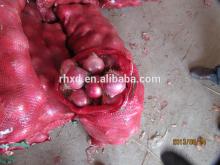 2014  new   crop   red  onion price