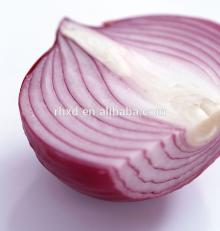2014 new crop onion seeds for sale