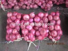 fresh onion 2014 new crop onion with lowest price