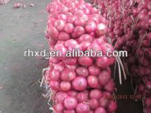 new reason 2014 fresh onion