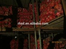 2014 new crop fresh red onion