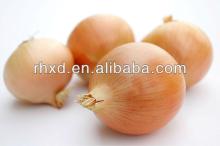 2014 new crop fresh yellow onion/all kinds of onion