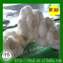 2014 natural garlic from cold storage