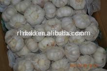 2014 new crop white  garlic   shandong 