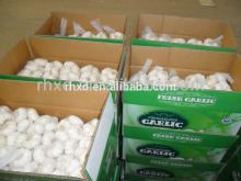 2014 new crop fresh garlic wholesale