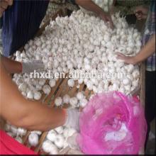 2014 new crop china fresh white garlic