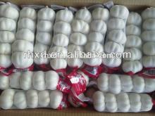 2014 new crop garlic exporter from china