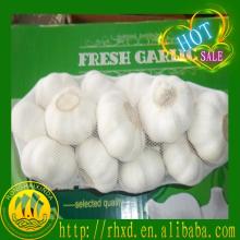 2014 fresh white garlic Chinese natural garlic