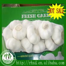 2014 chinese natural fresh garlic for sale