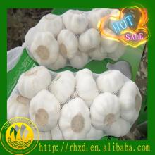 2014 new chinese natural fresh garlic