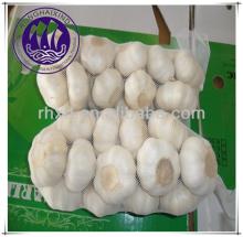 Fresh White Garlic