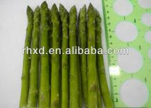  Frozen   asparagus / IQF   frozen   asparagus / IQF   asparagus 