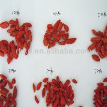 Ningxia certified organic goji berries/chinese goji berries