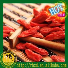 red wolfberry certified organic goji berry