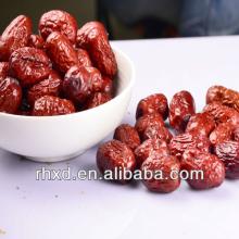 sweet red date jujube