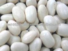 First Grade Kidney Beans