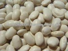 Red speckled kidney bean