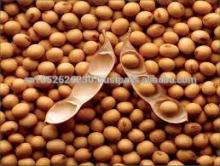 Grade 2 Yellow Cheap Soybean For Food