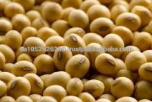 Non GMO SoyBeans Grade # 2 / GMO Soybeans grade # 2 .