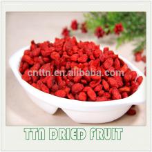 TTN free sample ningxia import organic extract dried goji berry