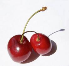 HACCP bulk green and safe export whole freeze dried cherry