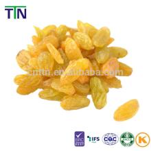 TTN 2014 ALL TYPES OF  DRIED  GOLDEN RAISINS PRICE FOR  IMPORT ERS