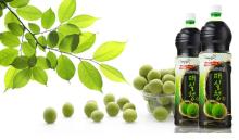 Wonderful Fruit Juice! Fresh Green Plum Extracts Juice. Model: JWF-480