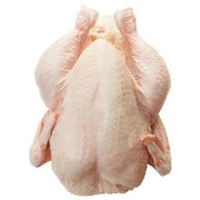 QUALITY Halal Frozen Whole Chicken - Brazil Origin BEST PRICE OFF...