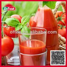 Chinese factory of canned tomato