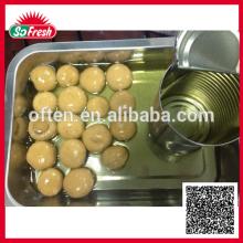 chinese canned mushrooms canned button mushroom halal