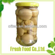 Cheap Wholesale  canned   champignons 