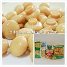 2840g/6 Canned champignon mushrooms